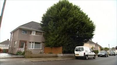 The offending hedge