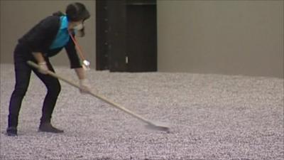 Woman cleaning seed exhibit