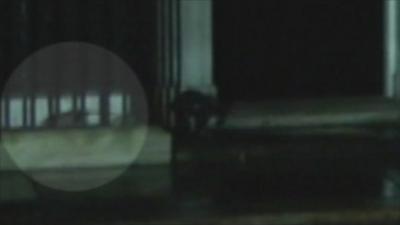 Rat runs past 10 Downing Street