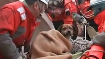 Coast guards with a dog