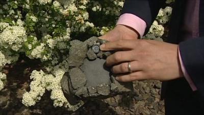 Camera's hidden in rock