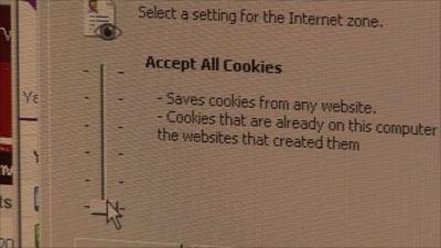 Computer screen shot