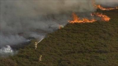 Fire crews tackling the flames at Upton Heath