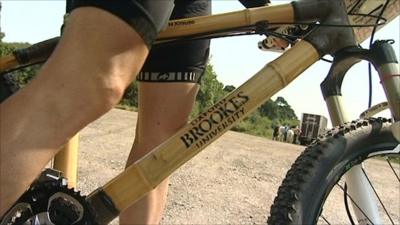 Bamboo bike