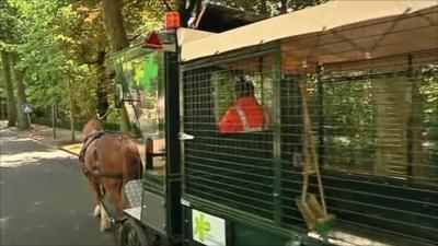 Horses pulling a rubbish collection cart
