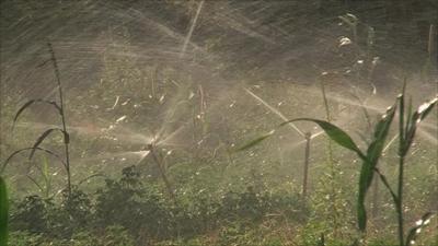 Crop sprinklers