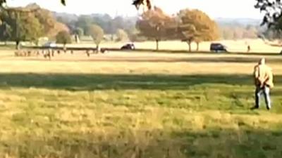 Dog owner trying to chase dog