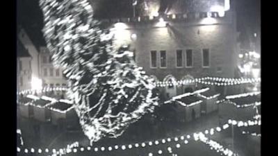 Talinn's Christmas tree falls over in high winds