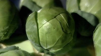Brussels sprouts