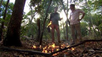 Fire in the Amazon rainforest