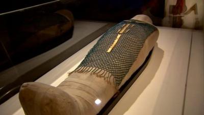 A mummy in a museum exhibition