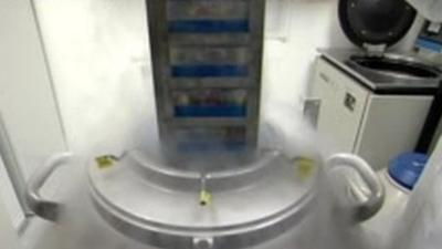 Ketamine experiment at York University