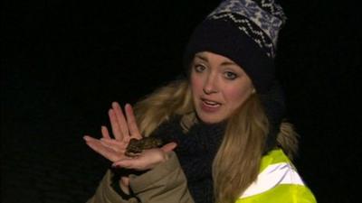 Hayley with a toad in her hand