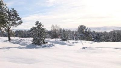 Snow in the Cairngorms