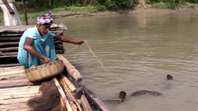Otter fishing