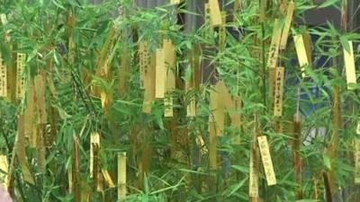 Paper strips with wishes hanging from a bamboo plant