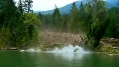 Trees sliding into the water in Canada