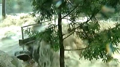 Water flowing past tree