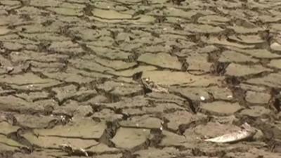 Dried up reservoir in Sri Lanka
