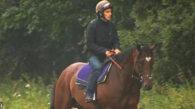 Frankel the horse