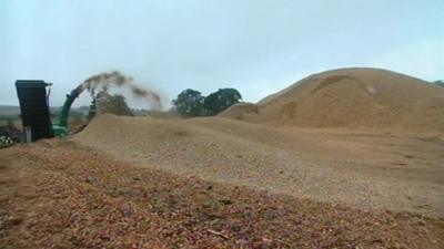 Woodchip making in Berkshire