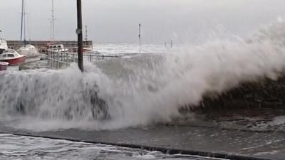 Waves in Devon