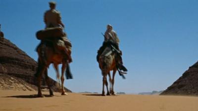 Camels in scene from Lawrence of Arabia