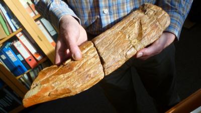 Piltdown "cricket bat"