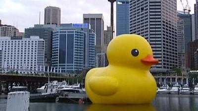 Giant rubber duck