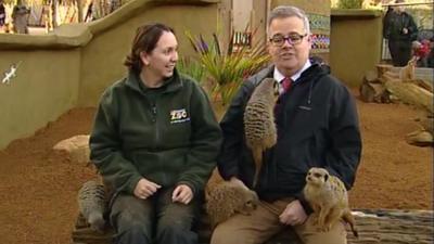 Sarah Foster and Mike Liggins with the meerkats