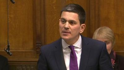 Labour MP David Miliband