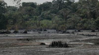 Niger delta contaminated with oil