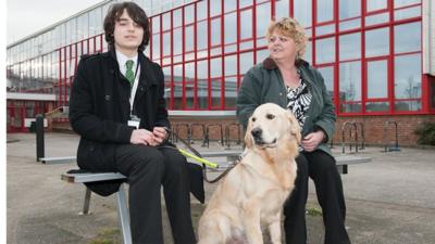 Guide dog Morris and friends