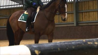 Kauto Star