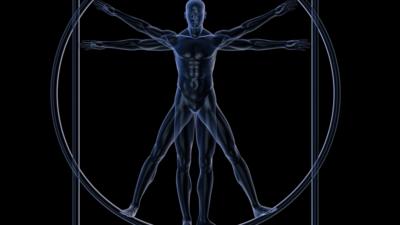 Vitruvian man