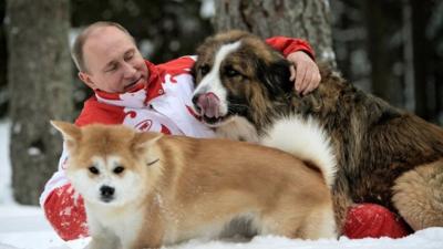 Vladimir Putin and two dogs