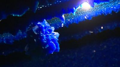 Seizure 2008/2013 by Roger Hiorns