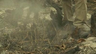 The BBC's Rupert Wingfield-Hayes balances on a log in the middle of a hot peat bog