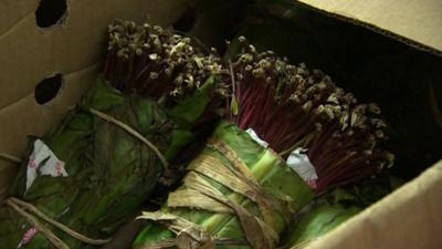 Bundles of khat in a box