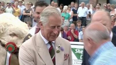 Prince Charles at the Royal Welsh Show