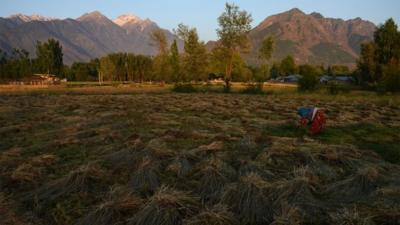 Rural India