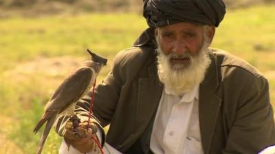 Man with bird