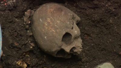 A skull found in London