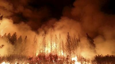US Forest Service photo of the Rim Fire near Yosemite National Park, California