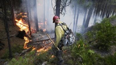 A firefighter monitors a fire near Yosemite National Park