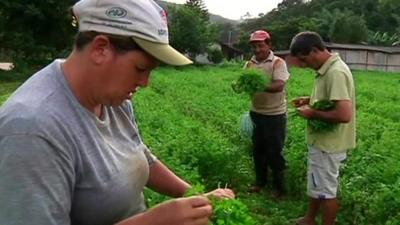 Brazilian agricultural workers