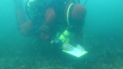 A diver collates shipwreck data