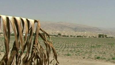 Dry farmland