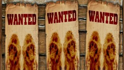 Wanted poster with monkeys