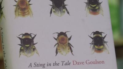 A sting in the Tale by Dave Goulson